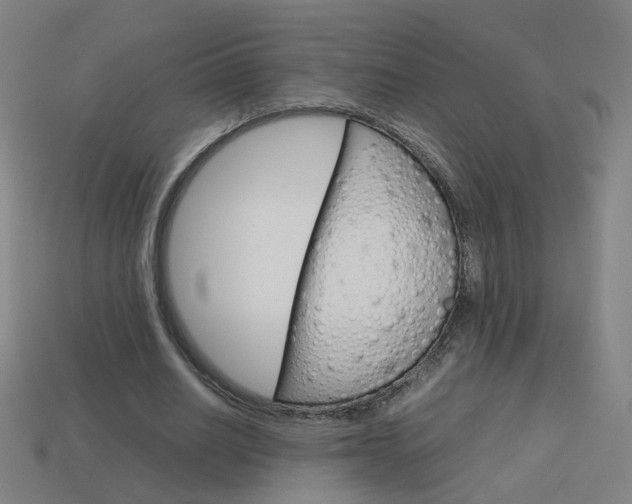 X0000114150630200910081113