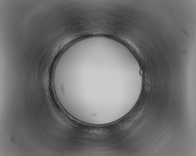 X0000114150631200910081113