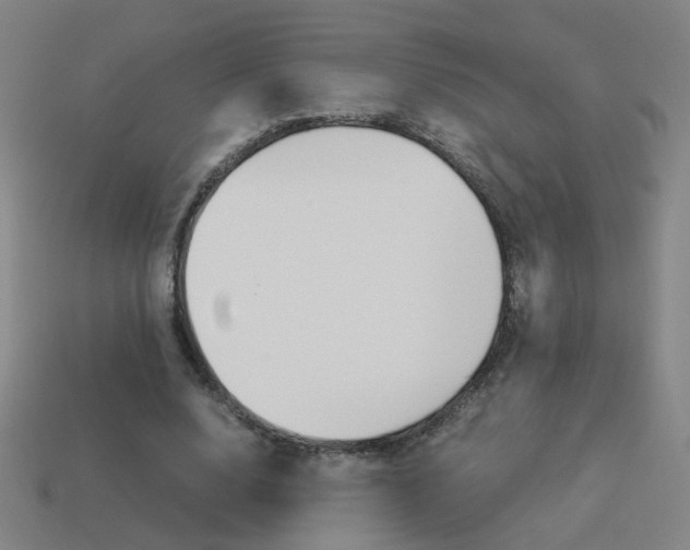 X0000114150632200910081113