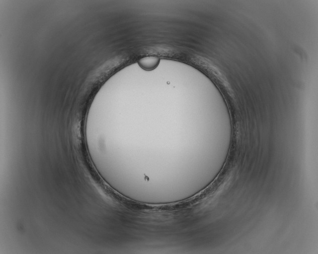 X0000114150633200910081113