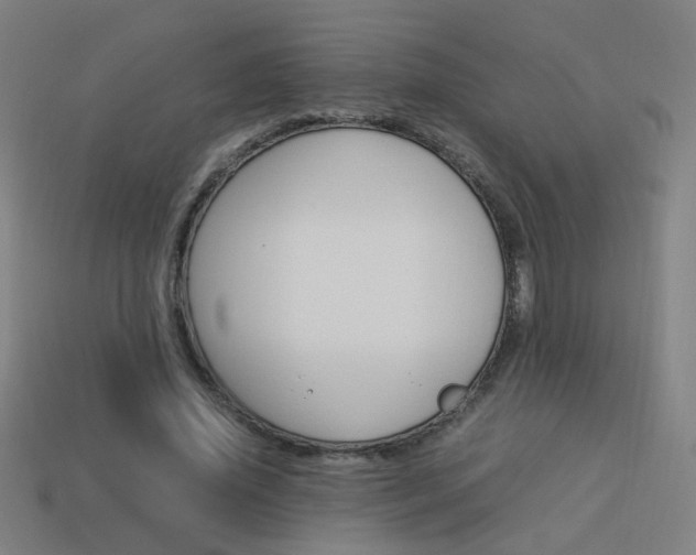 X0000114150636200910081113