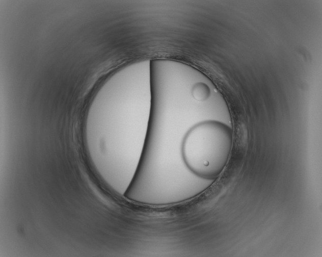 X0000114150638200910081113
