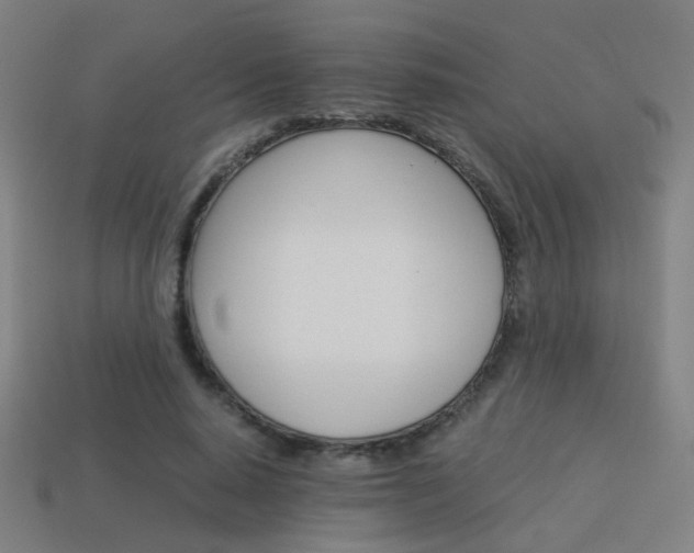 X0000114150640200910081113