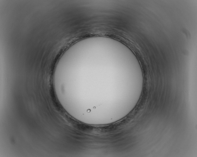 X0000114150641200910081113