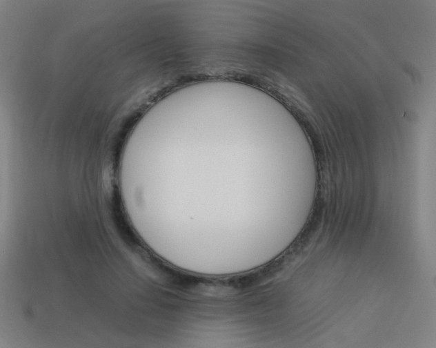 X0000114150644200910081113