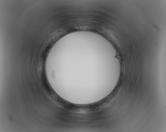 X0000114150645200910081113