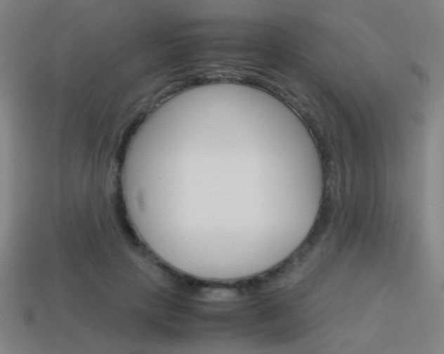 X0000114150649200910081113