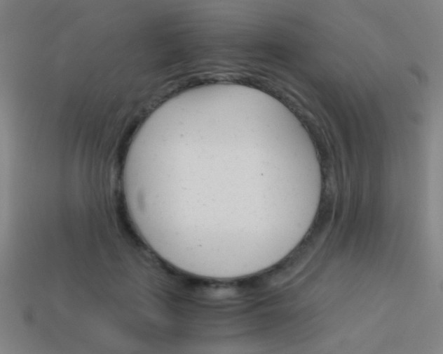X0000114150651200910081113