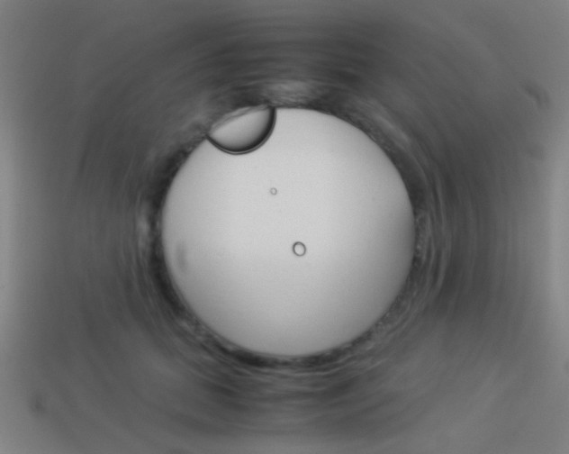 X0000114150655200910081114