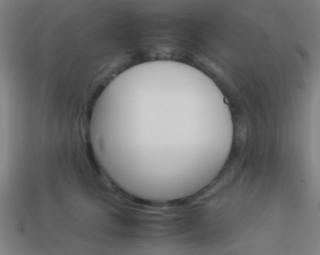 X0000114150661200910081114