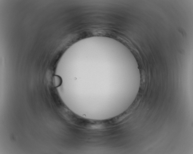 X0000114150667200910081114