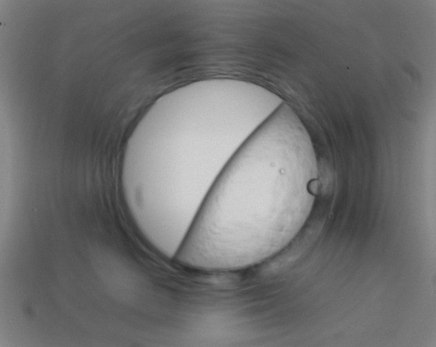 X0000114150670200910081114