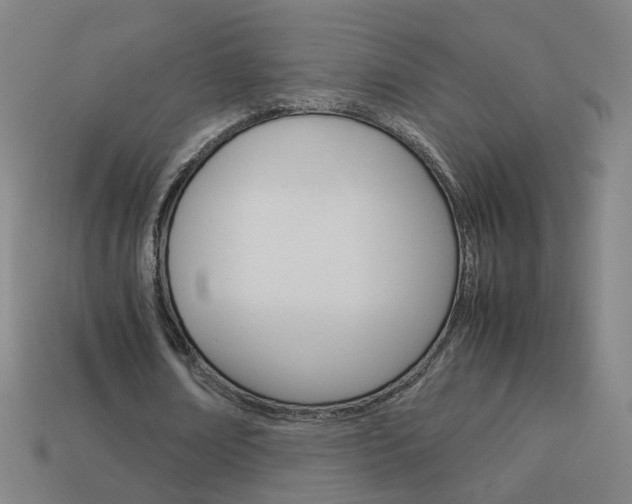 X0000114150674200910081113
