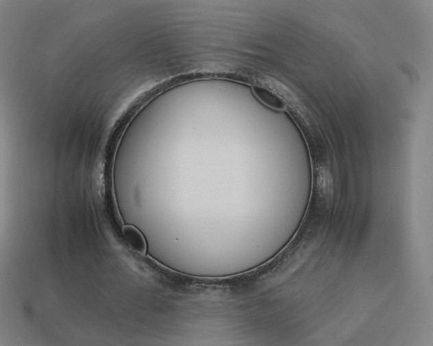 X0000114150676200910081113