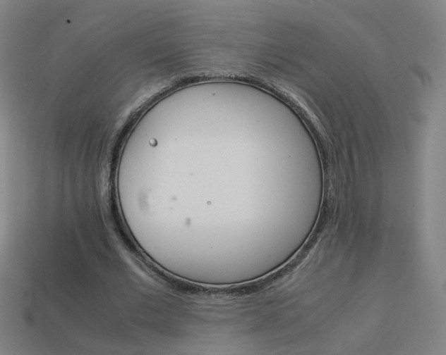 X0000114150677200910081113