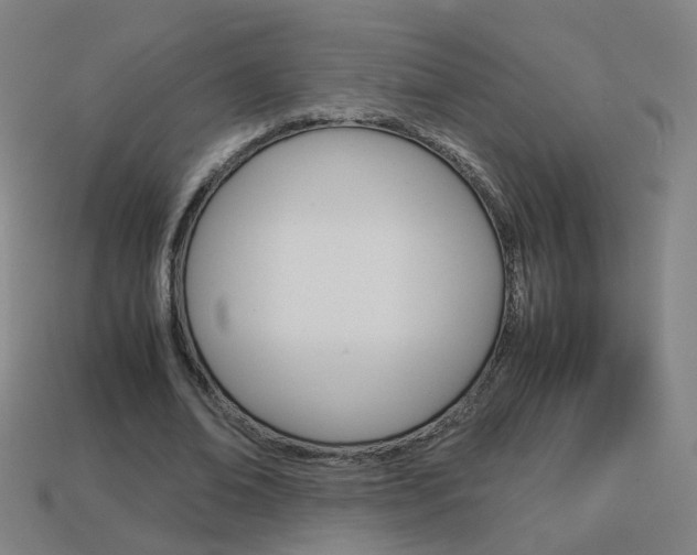X0000114150678200910081113