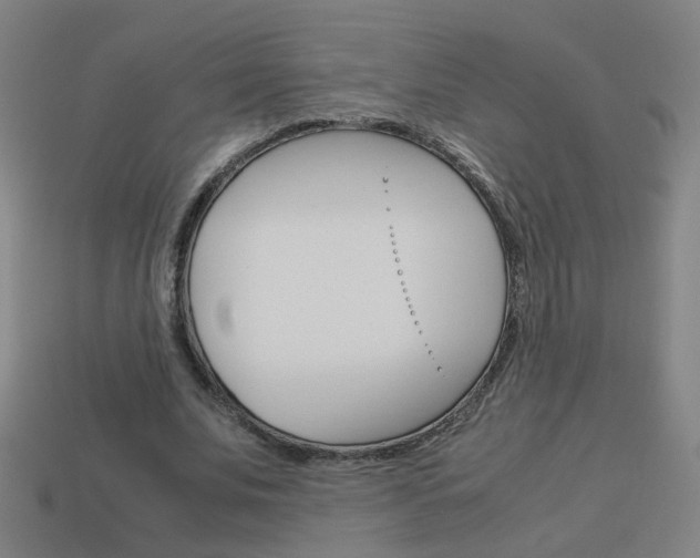 X0000114150679200910081113