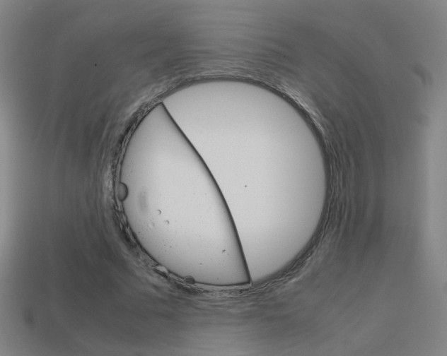 X0000114150681200910081113