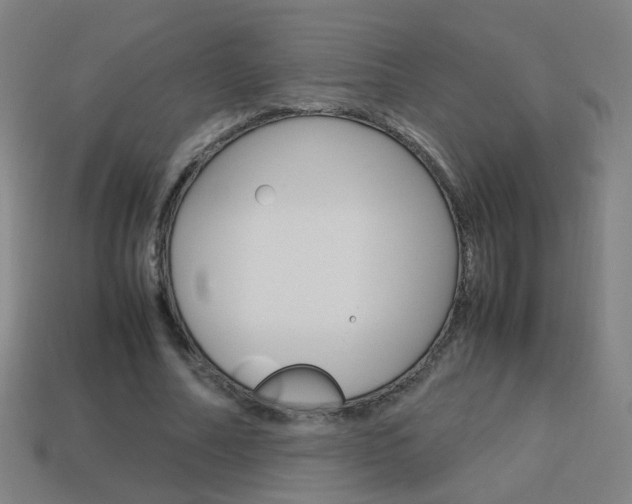 X0000114150682200910081113