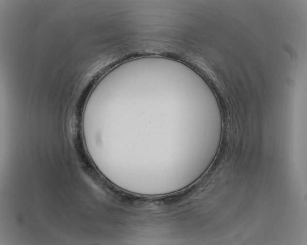 X0000114150683200910081113