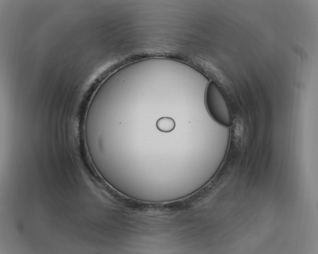 X0000114150684200910081113
