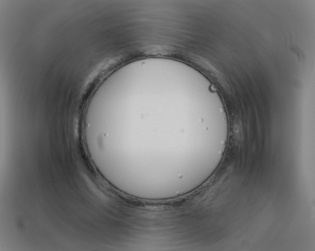 X0000114150686200910081113
