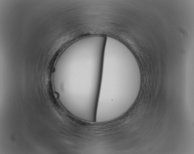 X0000114150687200910081113