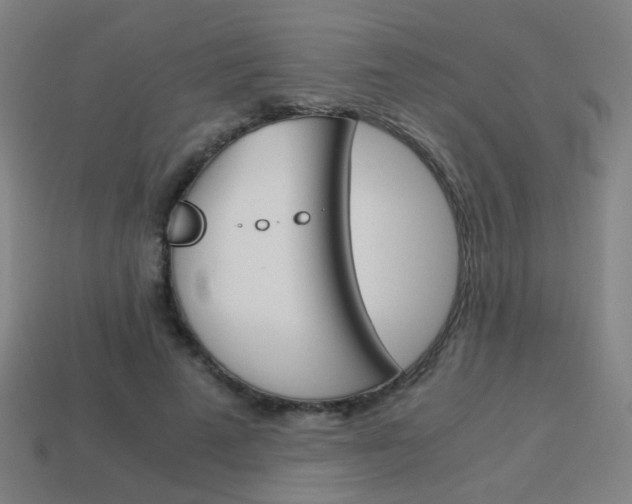 X0000114150689200910081113
