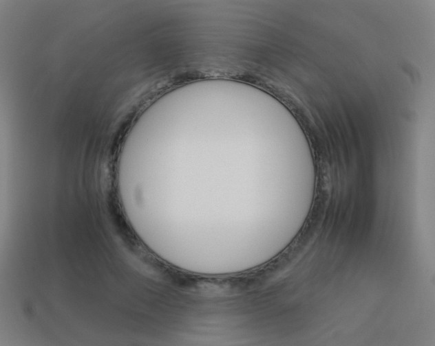 X0000114150690200910081113
