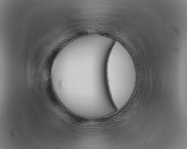 X0000114150691200910081113