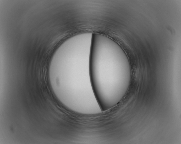 X0000114150692200910081113