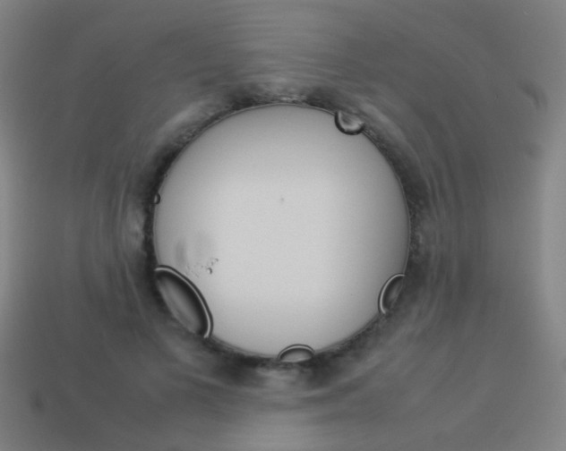 X0000114150693200910081113