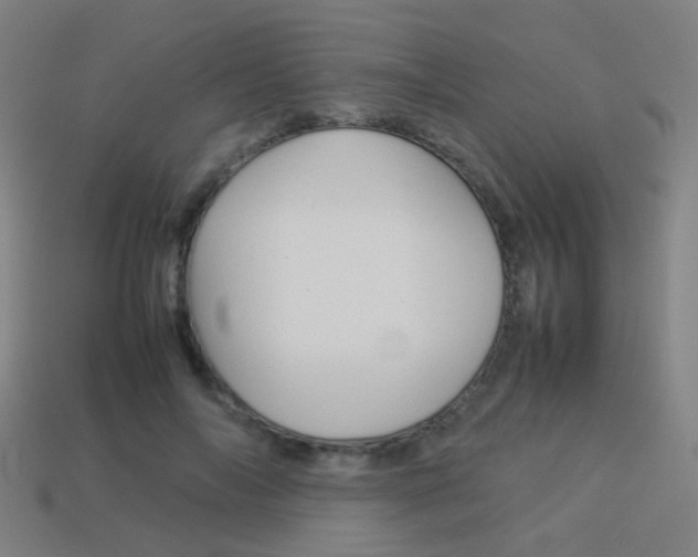 X0000114150694200910081113