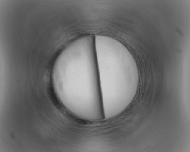 X0000114150695200910081113