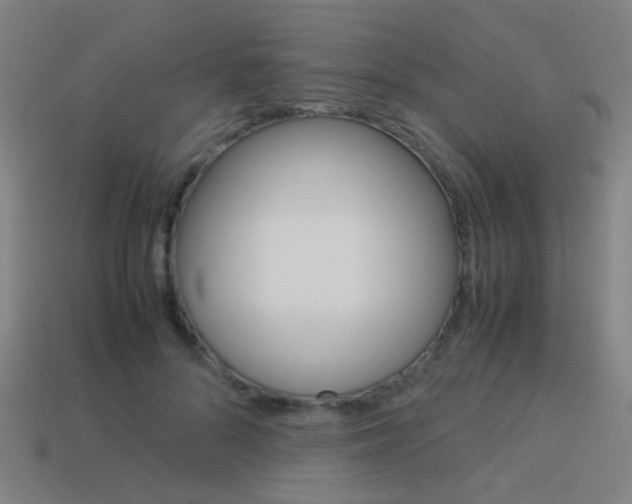 X0000114150696200910081113