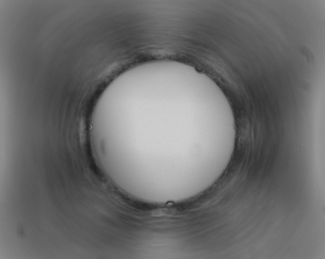 X0000114150700200910081113