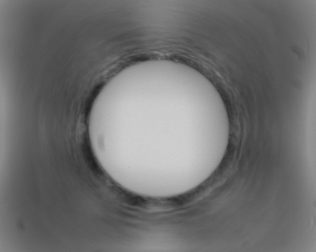 X0000114150707200910081113