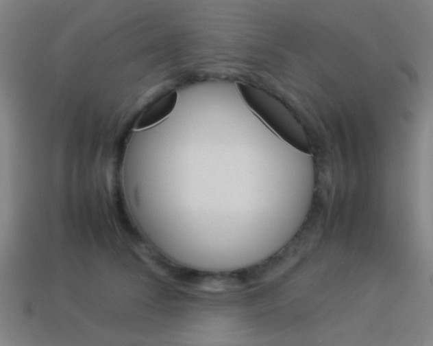 X0000114150708200910081113