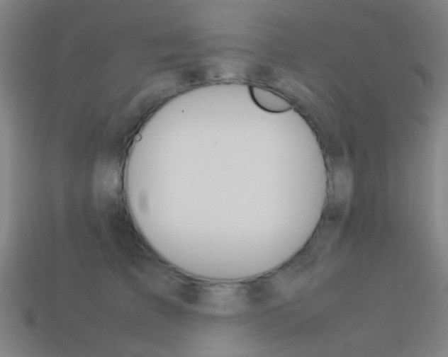X0000114150709200910081113
