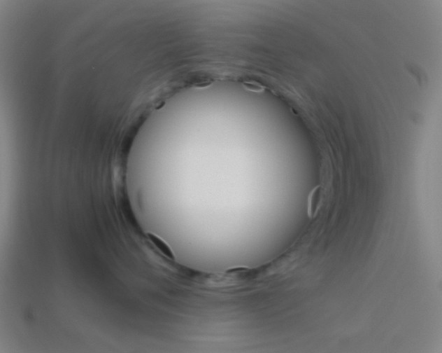 X0000114150720200910081113