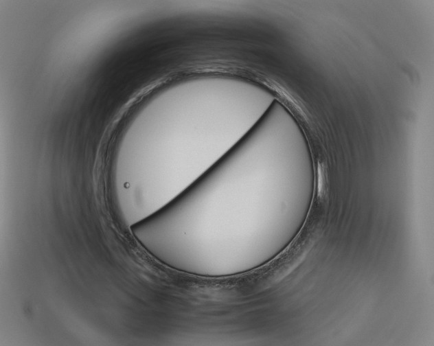 X0000114150723200910081112