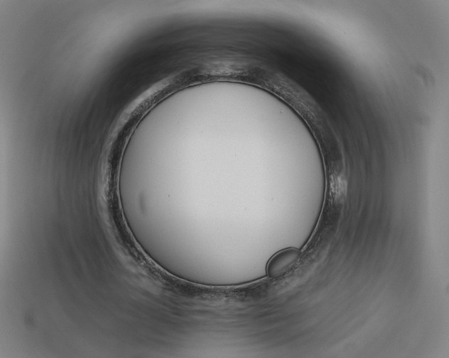 X0000114150724200910081112