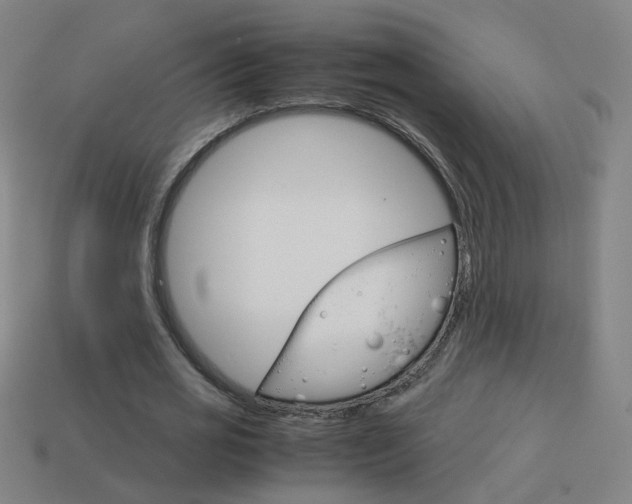 X0000114150725200910081112