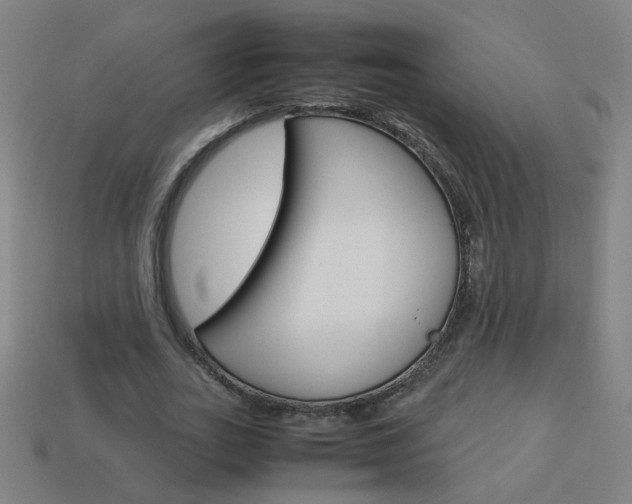 X0000114150727200910081112