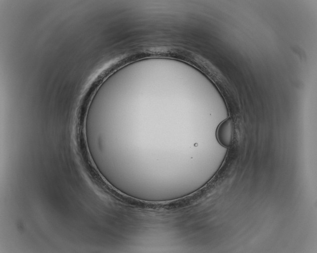 X0000114150728200910081112