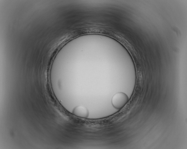 X0000114150729200910081112