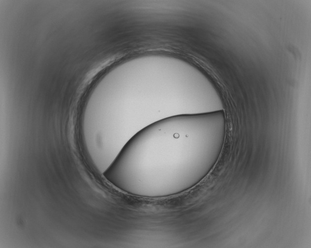 X0000114150732200910081112