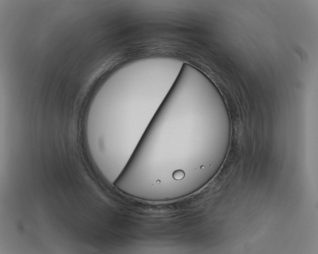 X0000114150735200910081112