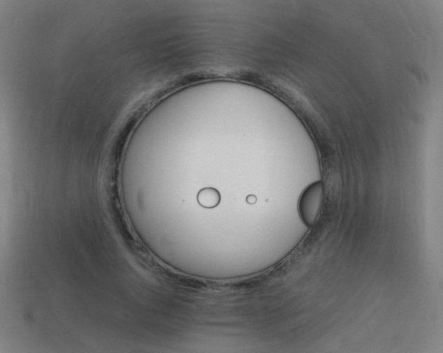 X0000114150736200910081112