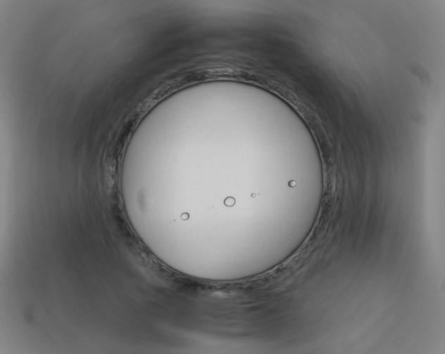 X0000114150737200910081112
